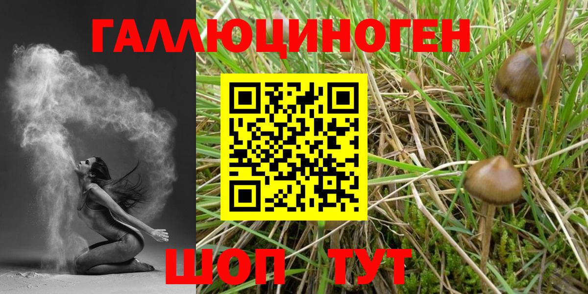 Псилоцибиновые грибы MAGIC MUSHROOMS Мытищи